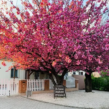 Affittacamere Kis Szárcsa Vendégház 3*