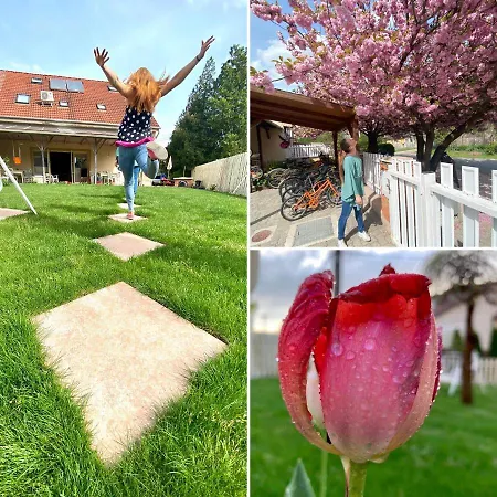 Kis Szárcsa Vendégház Affittacamere 3*