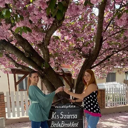 Kis Szárcsa Vendégház 3*