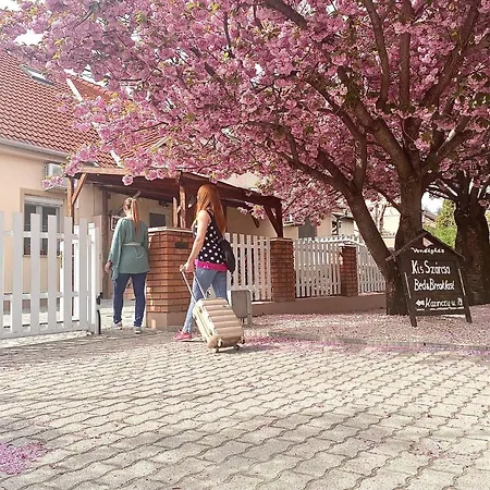 Kis Szarcsa Vendeghaz Pensionat