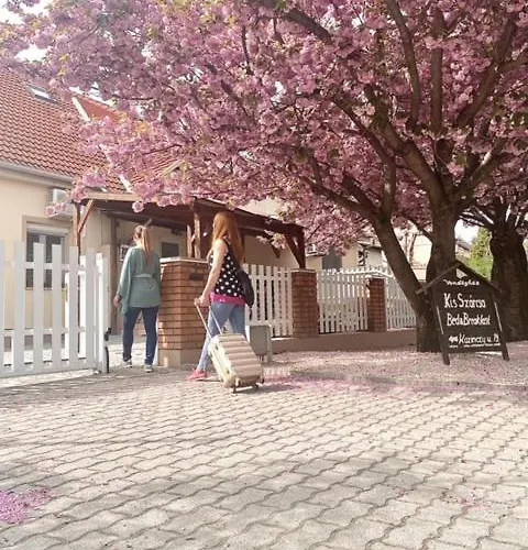 Affittacamere Kis Szárcsa Vendégház