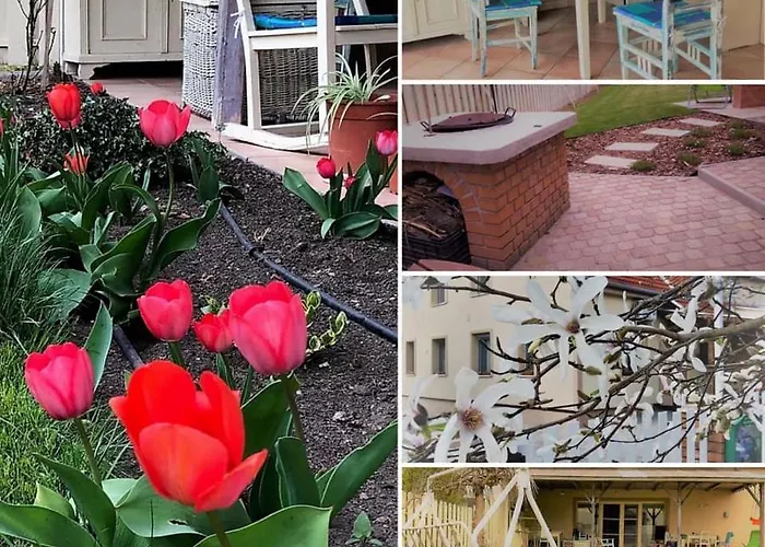 Affittacamere Kis Szárcsa Vendégház Gárdony