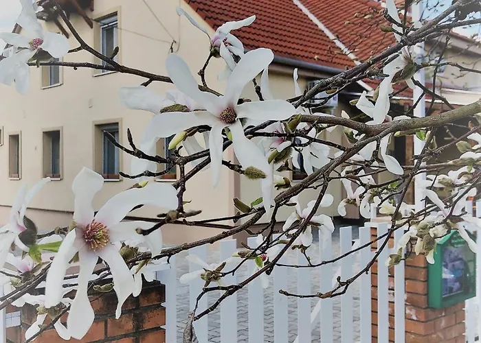 Affittacamere Kis Szárcsa Vendégház